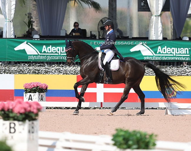 Christin Simonson and Zeaball Diawind at the 2023 CDI-W Palm Beach Derby :: Photo © Astrid Appels