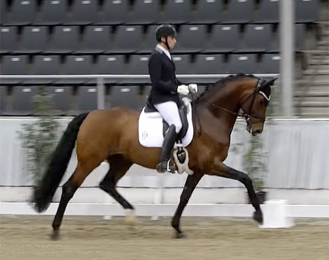 Pascal Kandziora on For Kingdom at the Stallion Sport Test in Verden