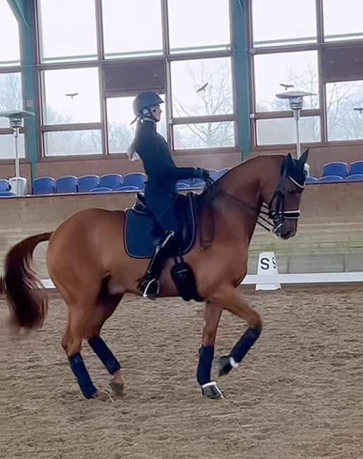 Semmieke Rothenberger and Farrington at the 2023 Piaff Forderpreis selection trial :: screen shot