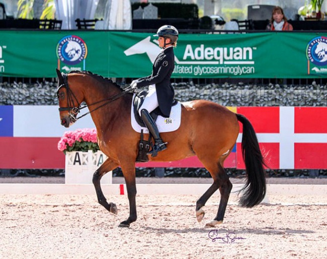 Morgan Barbancon and Bolero at the 2023 CDI Wellington :: Photo © Sue Stickle