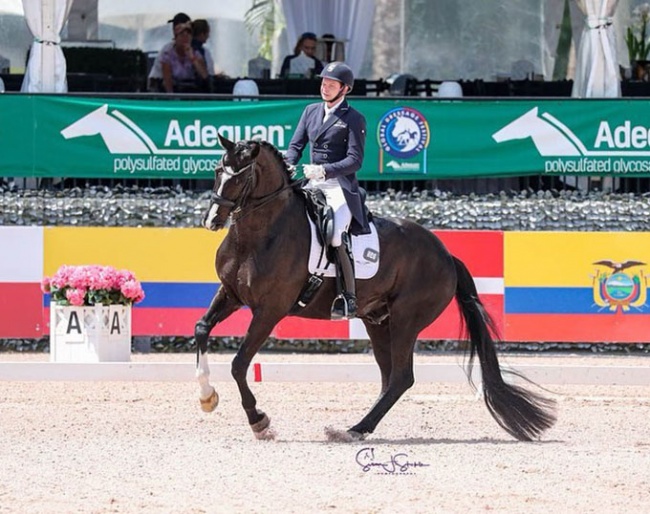 Kevin Kohmann and Dünensee at the 2023 CDI Wellington :: Photo © Sue Stickle