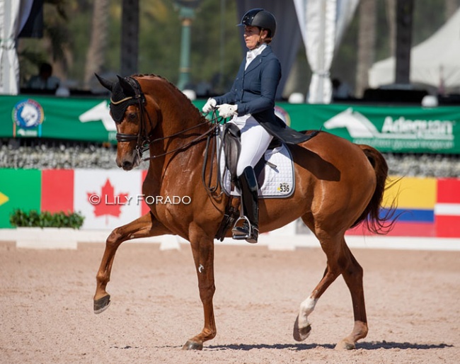 Tinne Vilhelmson-Silfven and Hyatt at the 2023 CDI Wellington :: Photo © Lily Forado