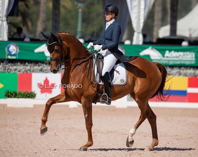 Tinne Vilhelmson-Silfven and Hyatt at the 2023 CDI Wellington :: Photo © Lily Forado