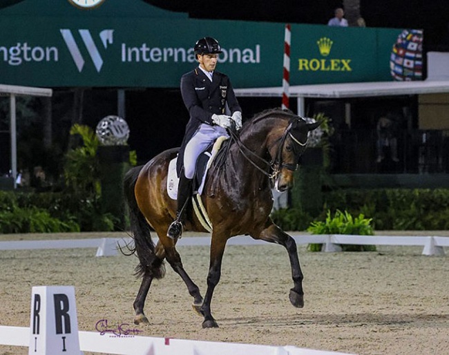 Frederic Wandres and Bluetooth at the 2023 CDI-W Wellington :: Photo © Sue Stickle