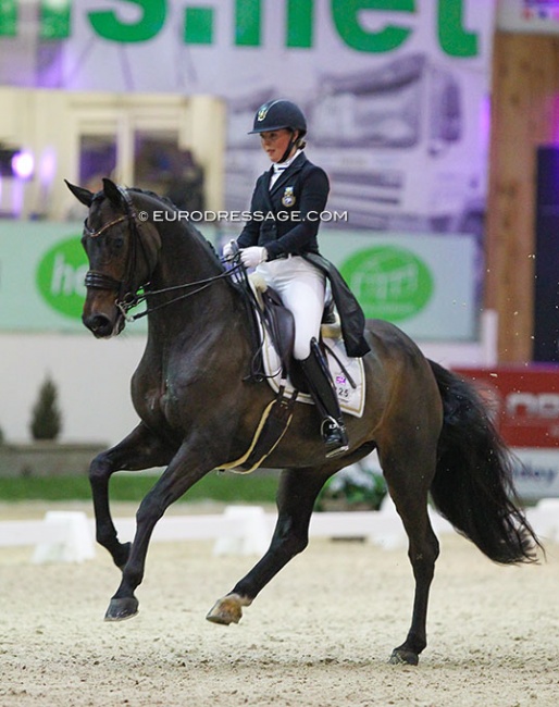Lovisa Wessblad on Adobe MB at the 2020 CDI Lier :: Photo © Astrid Appels