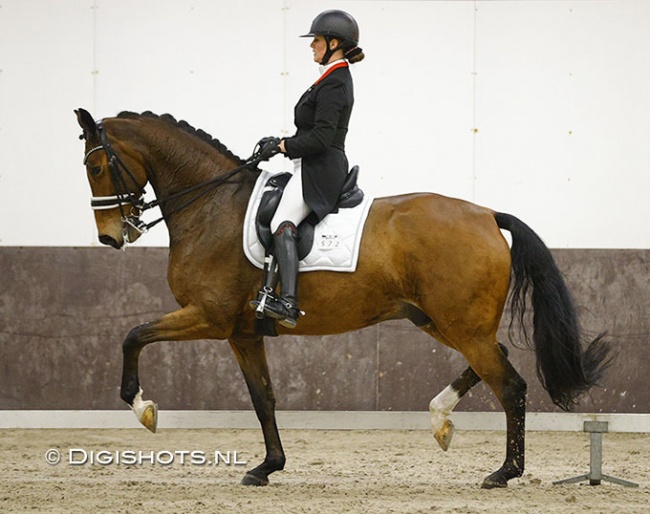 Thamar Zweistra and Heartbeat WP at their national Grand Prix debut in December 2021 :: Photo © Digishots
