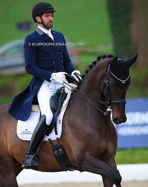 Tommie Visser and KWPN mare Kristal Fan T warming up at the 2023 CDI Hagen :: Photo © Astrid Appels