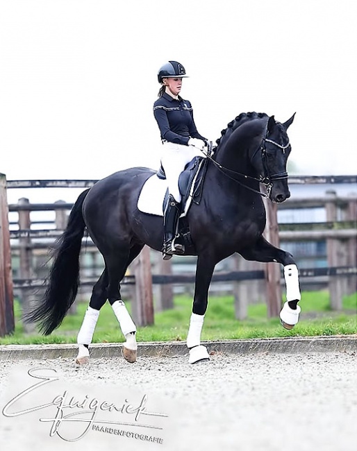 Evi van Rooij and Fontaine TN :: Photo © Equigeniek