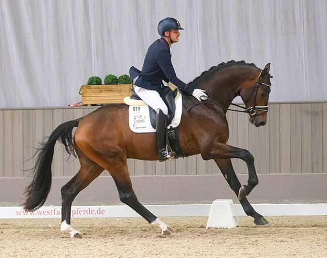 Manuel Springhetti on Francorchamps at the shortened suitability test in Munster :: Photo © Thomas Hartwig