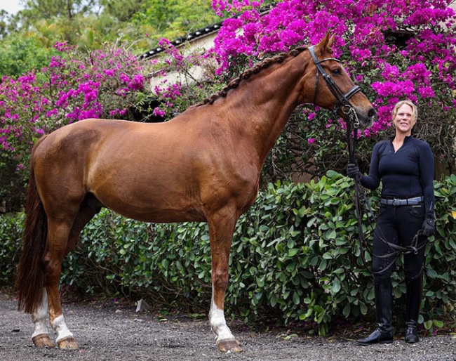 Jayne Essig and Charmeur in Florida :: Photo © Israel Arriga