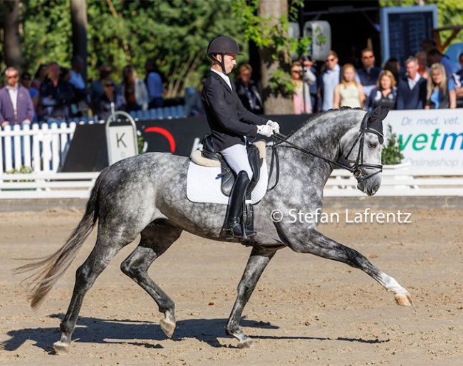 Jacob Schenk and Boulevard at the 2022 Bundeschampionate :: Photo © Stefan Lafrentz