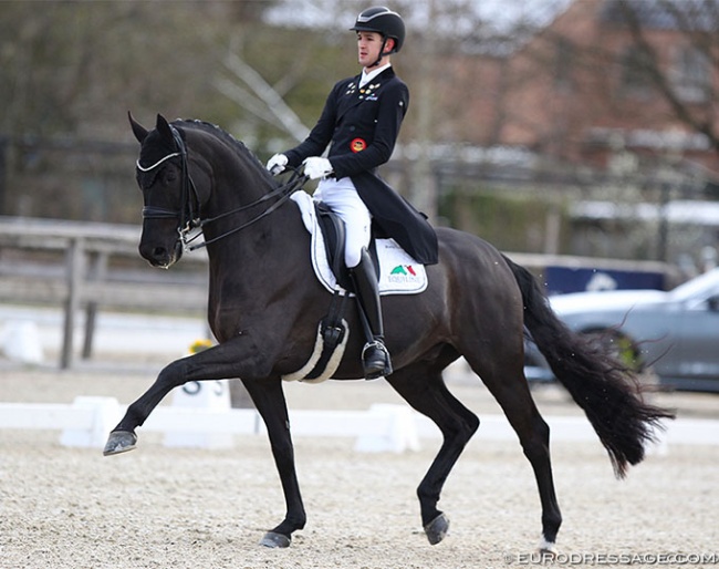 Moritz Treffinger and Superstition at the 2022 CDI Opglabbeek :: Photo © Astrid Appels