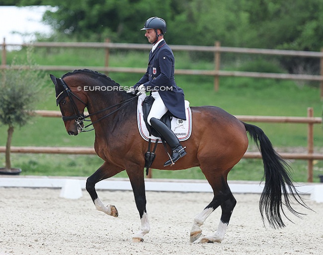 Sacha Schulz and Dayman at the 2022 CDI Troisdorf :: Photo © Astrid Appels