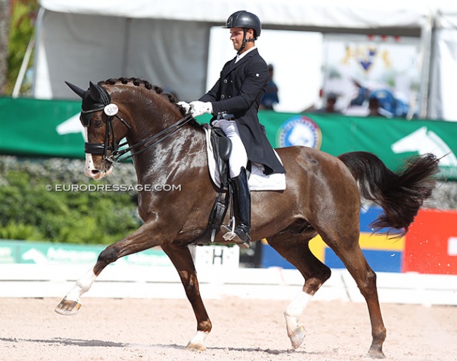 Aaron Janicki and Heron at the 2022 CDI Wellington :: Photo © Astrid Appels