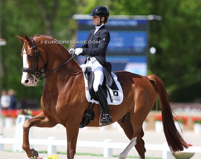 Charlotte Fry on Lars van de Hoenderheide at the 2023 CDIO Compiegne :: Photo © Astrid Appels