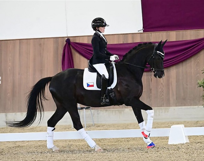 Anna Marie and Diamantina won five CDI classes in a row :: Photo © István Lehoczky