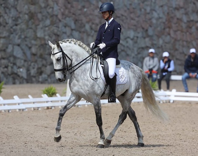 Sebastian Méndez Rodriguez on the Lusitano bred Jinete :: Photo © Redecuestre