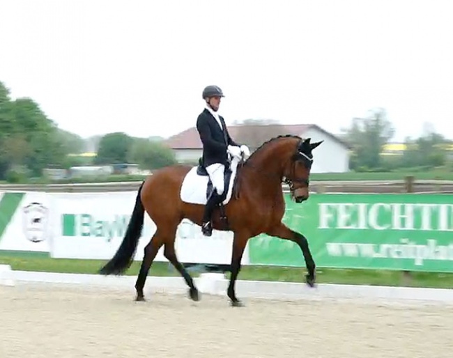 Matthias Bouten and Vega at the 2023 CDN Notzing