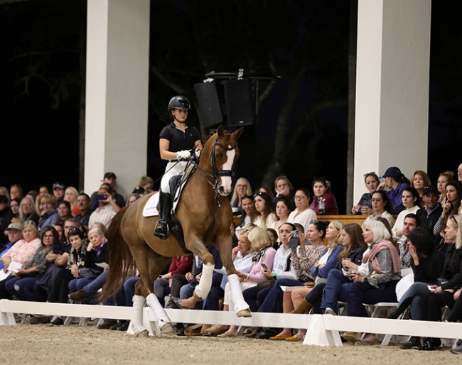 Open House day at Helgstrand Dressage U.S.A.