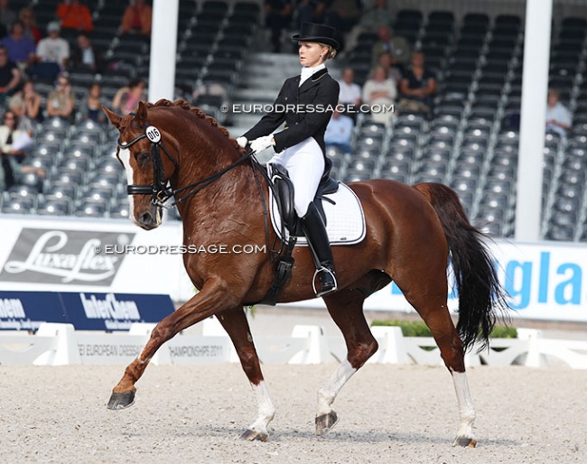 Grete Puvi and O Hot Chocolate at the 2011 European Dressage Championships in Rotterdam :: Photo © Astrid Appels