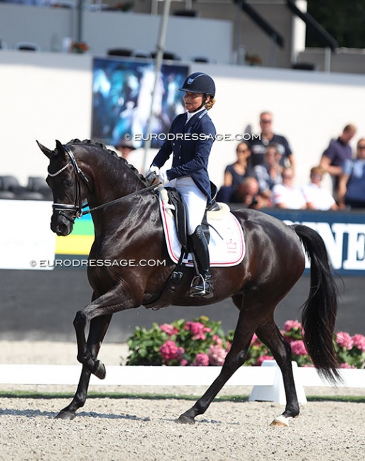Anne Troensegaard and Delizia at the 2018 World Young Horse Championships :: Photo © Astrid Appels