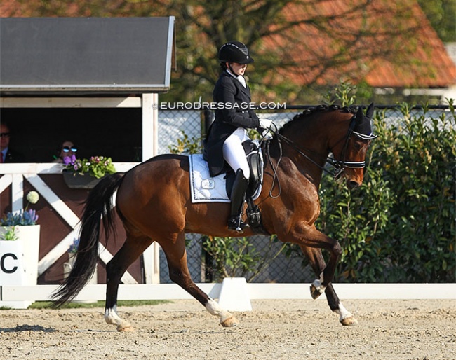 Hanna Rosendal on Beau-Amor at the 2019 CDI Sint-Truiden :: Photo © Astrid Appels