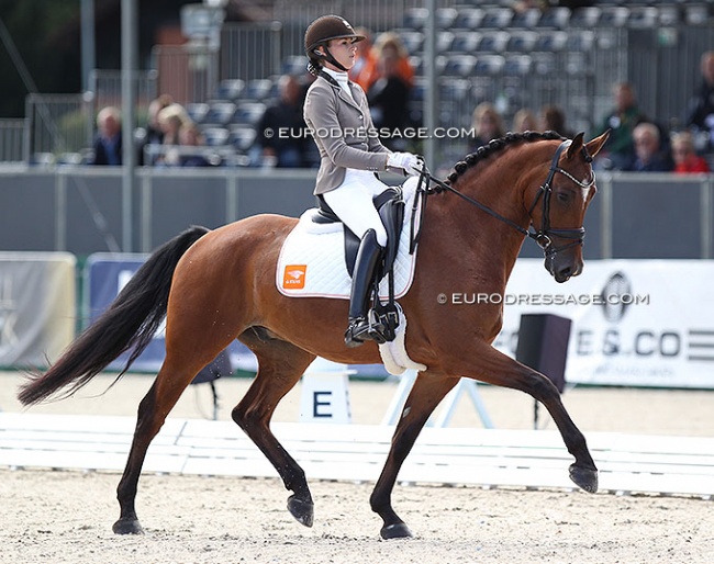 Dinja van Liere and Leonidas at the 2021 World Young Horse Championships :: Photo © Astrid Appels