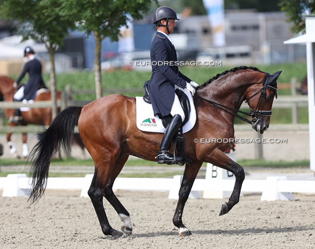 Mads Hendeliowitz on Autograf Q at the 2022 CDI Meerle :: Photo © Astrid Appels