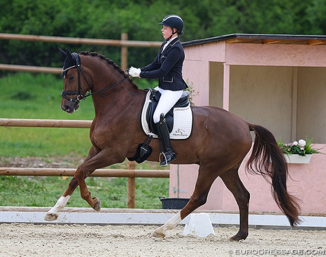 Ann-Christin Wienkamp on Füchtels To Limit (by Top Gear x Donnerschwee) at the 2022 CDI Troisdorf :: Photo © Astrid Appels