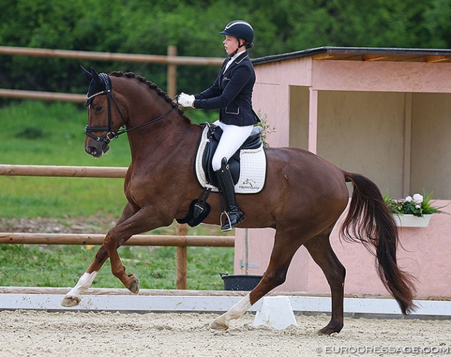 Ann-Christin Wienkamp on Füchtels To Limit (by Top Gear x Donnerschwee) at the 2022 CDI Troisdorf :: Photo © Astrid Appels