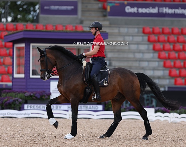 Benjamin Werndl schooling Famoso at the 2022 World Championships in Herning :: Photo © Astrid Appels