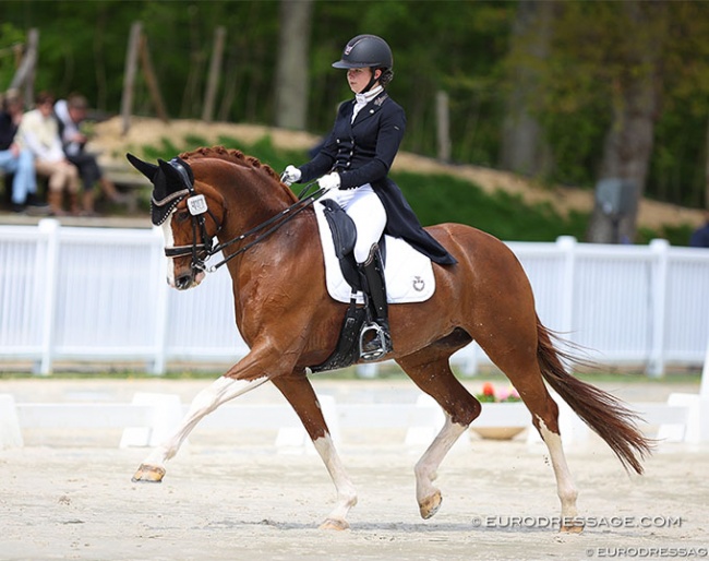 Athaline van Roey on Fugranda C at the 2023 CDIO Compiegne :: Photo © Astrid Appels