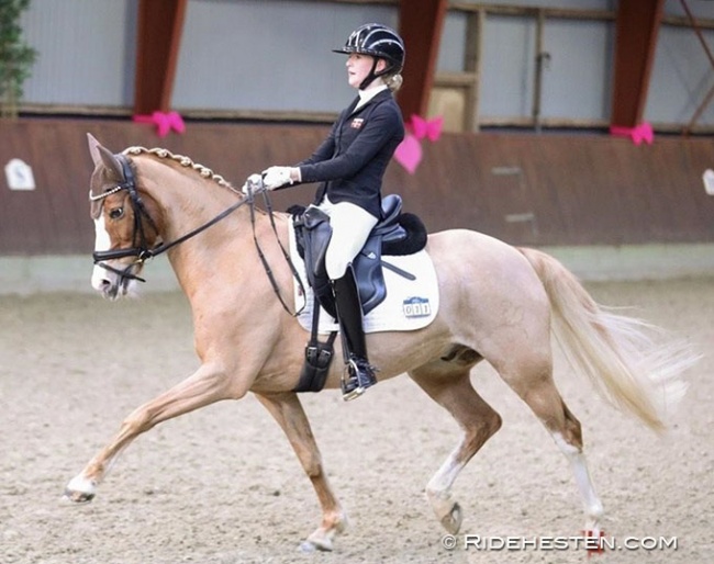 Maya Leisted Grønbech on Giotto N competing at a national show in Denmark in February 2023 :: Photo © Ridehesten