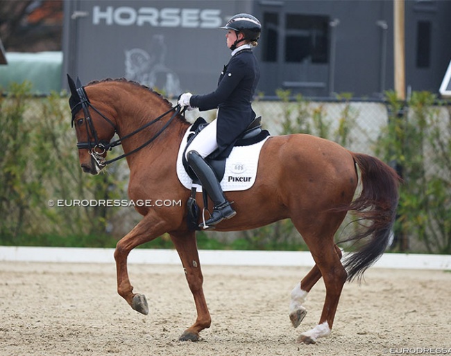 Katharina Hemmer and Denoix PCH at the 2023 CDI Sint-Truiden :: Photo © Astrid Appels