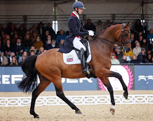Lewis Carrier and Diego on a role at the 2023 CDI Windsor :: Photo © Daydream Equine Photography