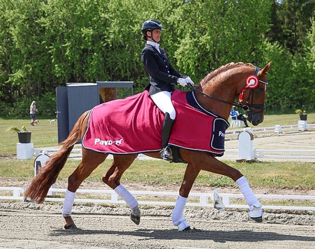Bettina Jaeger on Rosebank VH at the 2023 CDN Billund :: Photo © Ridehesten