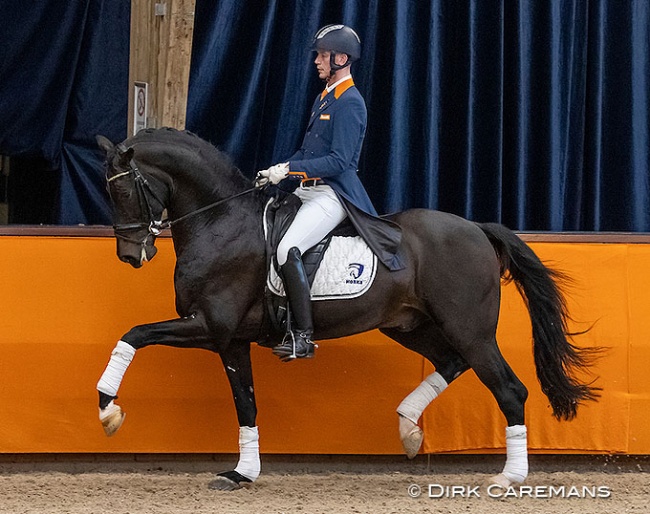 Diederik van Silfhout and Impression in the stallion show at the 2021 KWPN Stallion Licensing :: Photo © Dirk Caremans