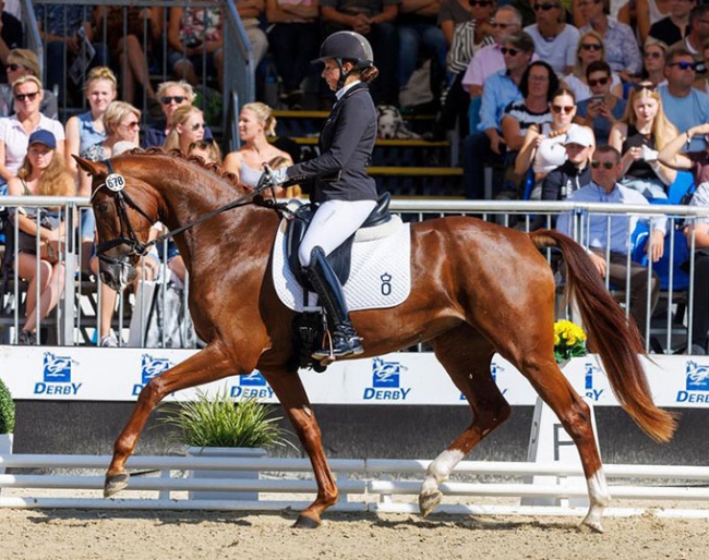 Marbella (by Foundation x Fürst Romancier) under Veronika Steinhof at the 2022 Bundeschampionate :: Photo © Stefan Lafrentz