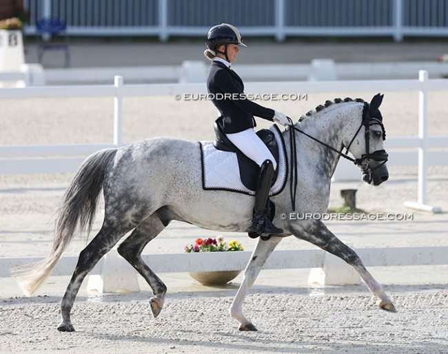 Sissi Gijsen on New Star at the 2022 CDIO Compiegne :: Photo © Astrid Appels