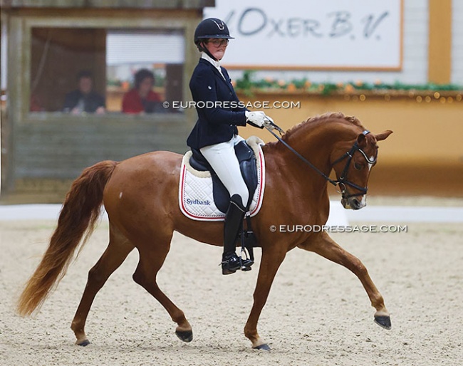 Anna Munkebo on Lyngdal's Mira Puella at the 2022 CDI Kronenberg :: Photo © Astrid Appels