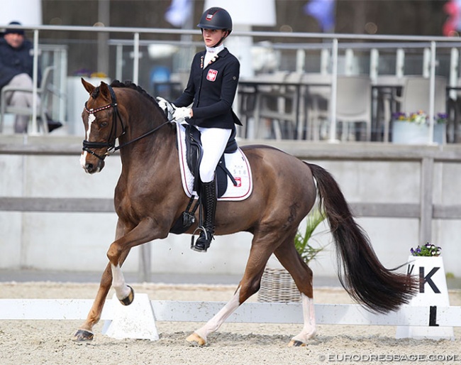 Veronica Pawluk on D'Artagnan at the 2022 CDI Opglabbeek :: Photo © Astrid Appels
