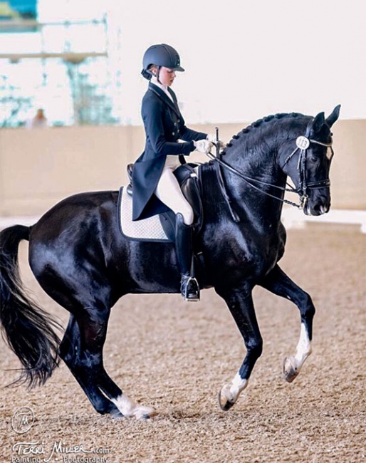 Haley Smith and Tailormade Ambition competing in California :: Photo © Terri Miller