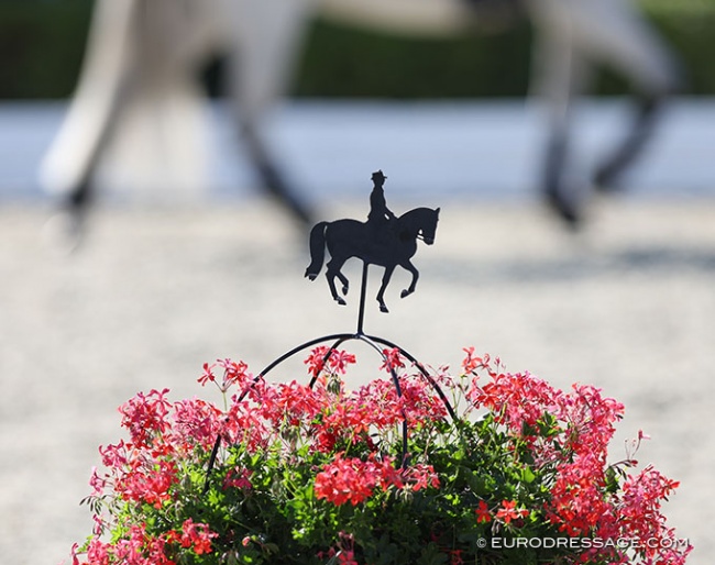 Wanted: Experienced Young Riders' horse for international Young Rider :: Photo © Astrid Appels