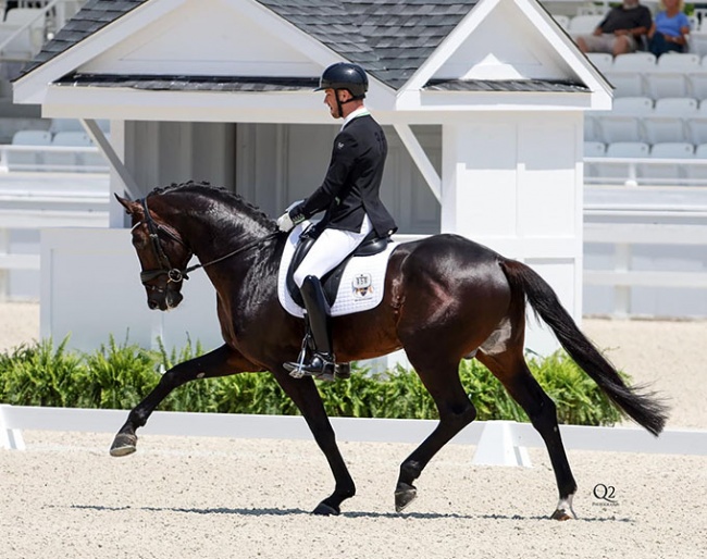 Adam Steffens and Fabuleux Coeur at the 2023 CDI Ocala :: Photo © Q2 Photography