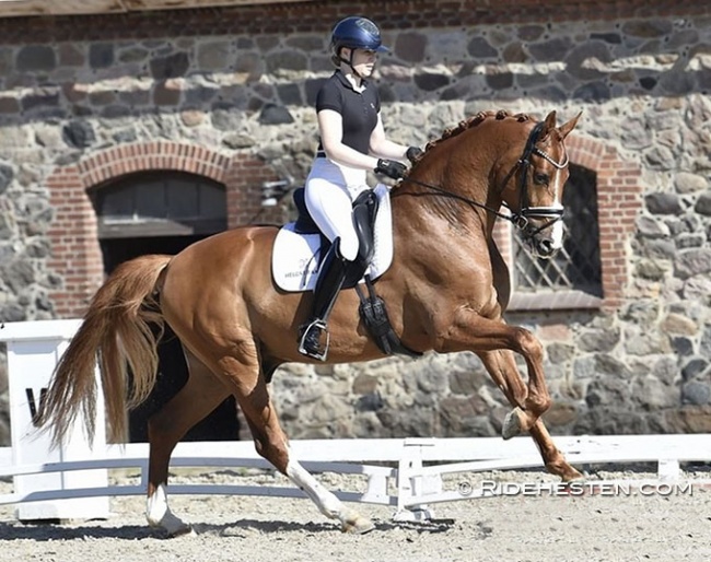 Merita Hagren on Alkaline at the Danish WCYH team selection trial :: Photo © Ridehesten