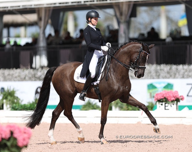 Mary Haskins Grey and Don Divone at the 2023 CDI Wellington :: Photo © Astrid Appels