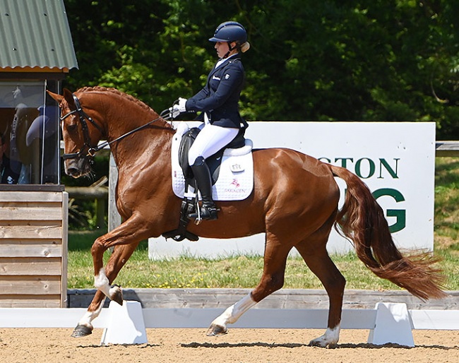 Amy Woodhead on MSJ Viva Dannebrog at the 2023 CDN Wellington Heckfield :: Photo © Kevin Sparrow