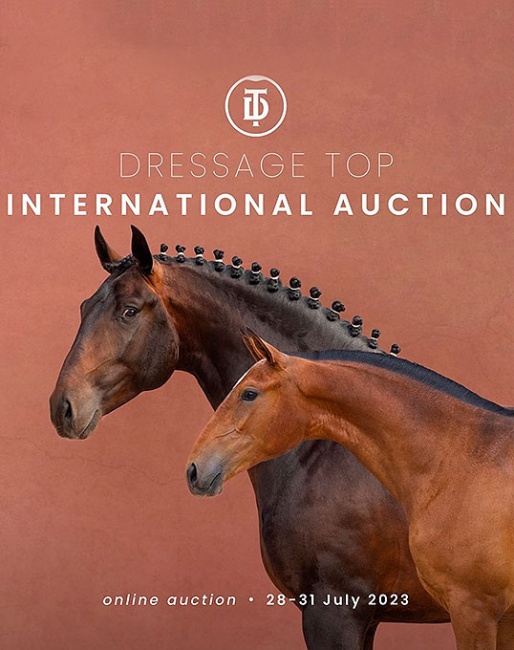 Horses of the World Poster - Portugal