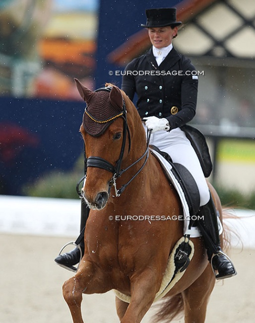 Duisenberg, under Jessica Süss, at the 2018 CDI Hagen :: Photo © Astrid Appels