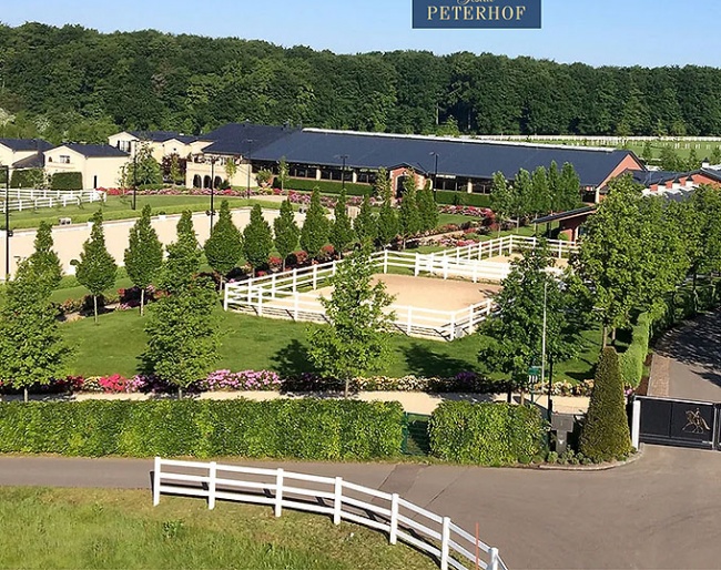 Gestut Peterhof in Perl-Borg (GER) :: Photo © private